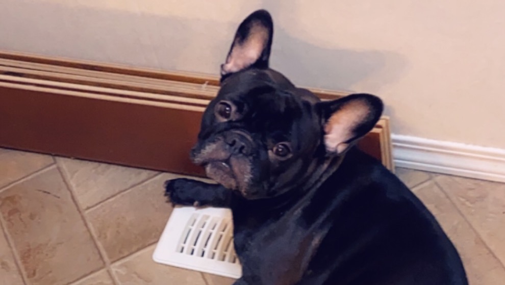 Fundraiser by Jennifer Lynn Life saving Back Surgery