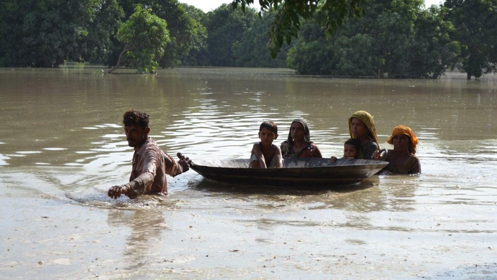Pakistan Fogi Rafiq Fundraiser by ZAFRAN RAFIQ : Help the victims of the Flooding in Pakistan