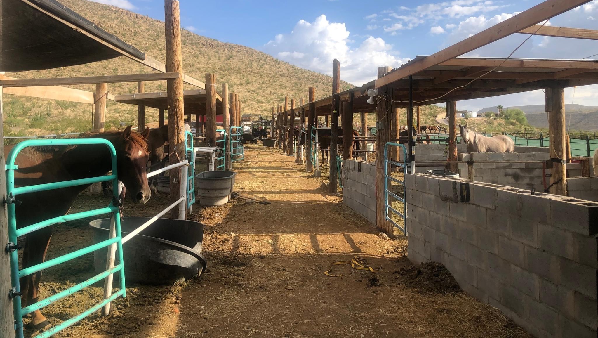 Fundraiser by Guillian Hunt El Paso Rescue Horses Need Roof & Water