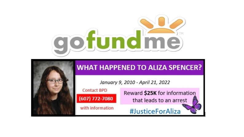 Fundraiser by Ann Marie Bogart : Billboard to Help Find Justice for Aliza