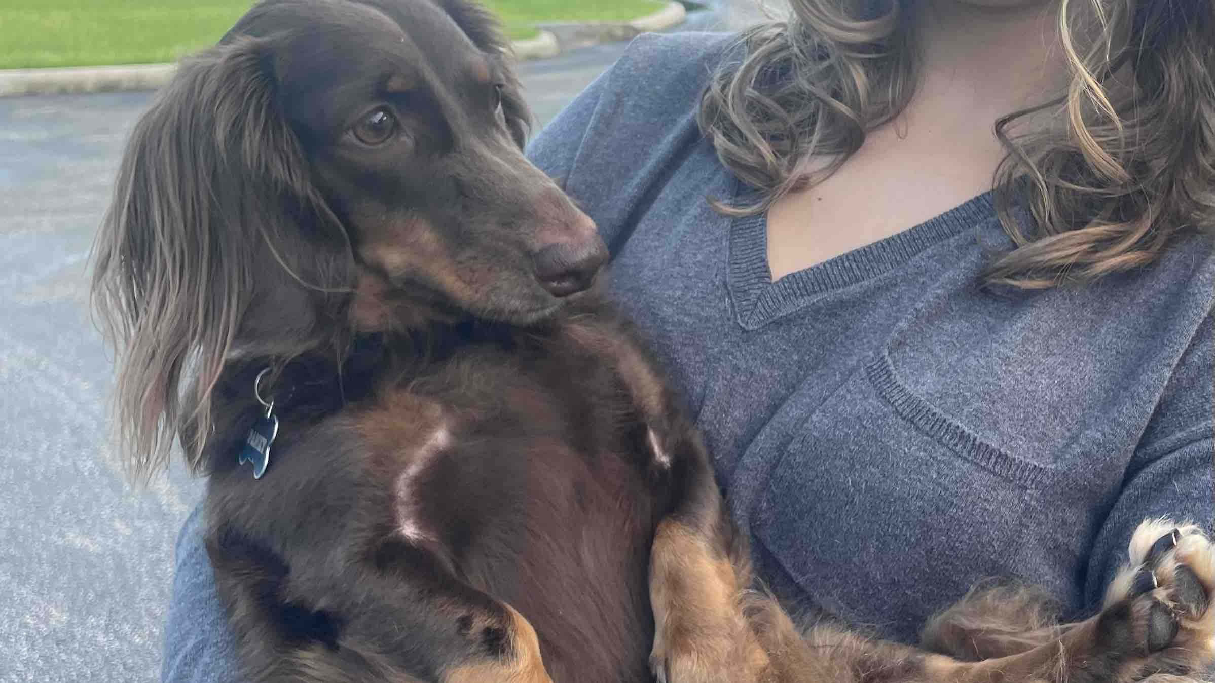 Panky’s back surgery photo