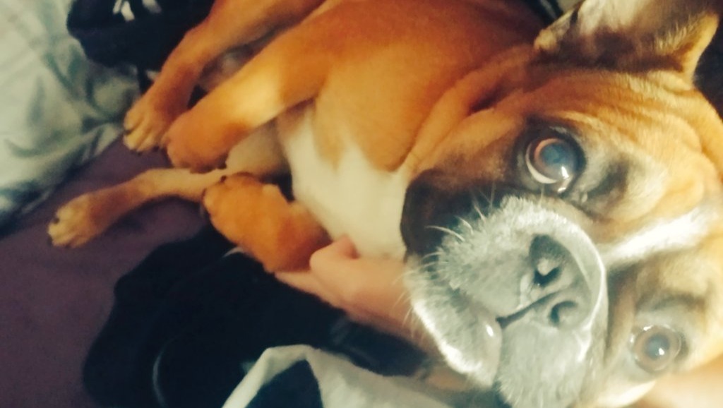 Fundraiser for Brandon Range by Jade Denny Bible Marcus' Emergency