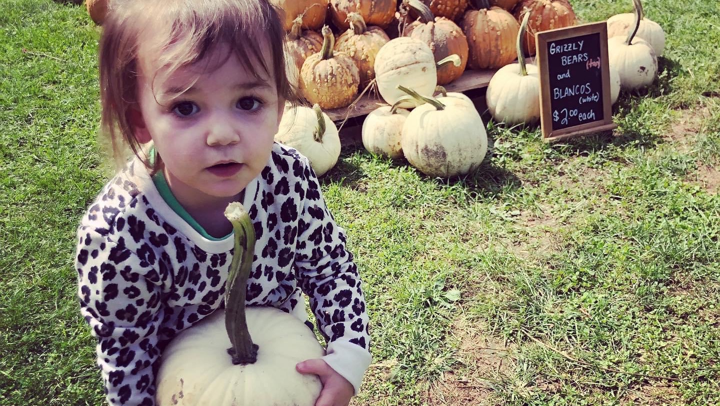 Fundraiser by Amanda Johnston : Help Addy as she battles Leukemia