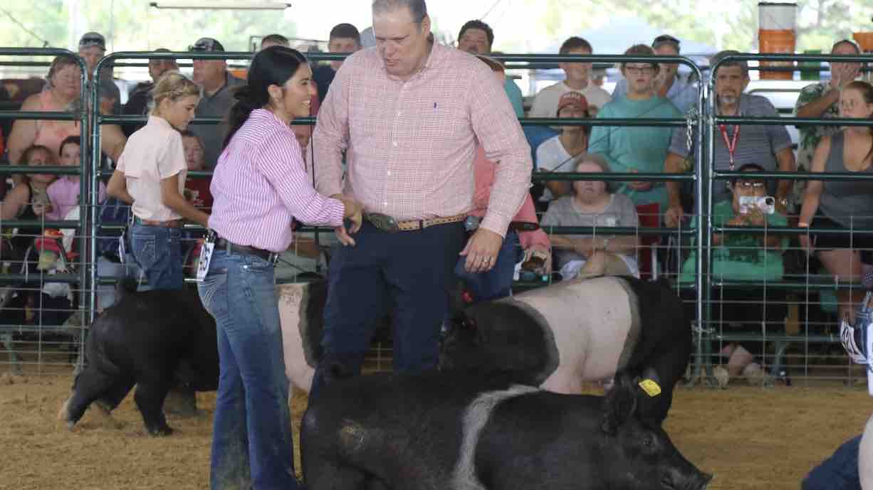 Fundraiser by Lauren Rodriguez Support Lauren’s FFA Pigs