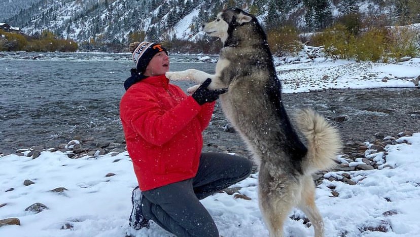 Kylo’s Emergency Surgery photo