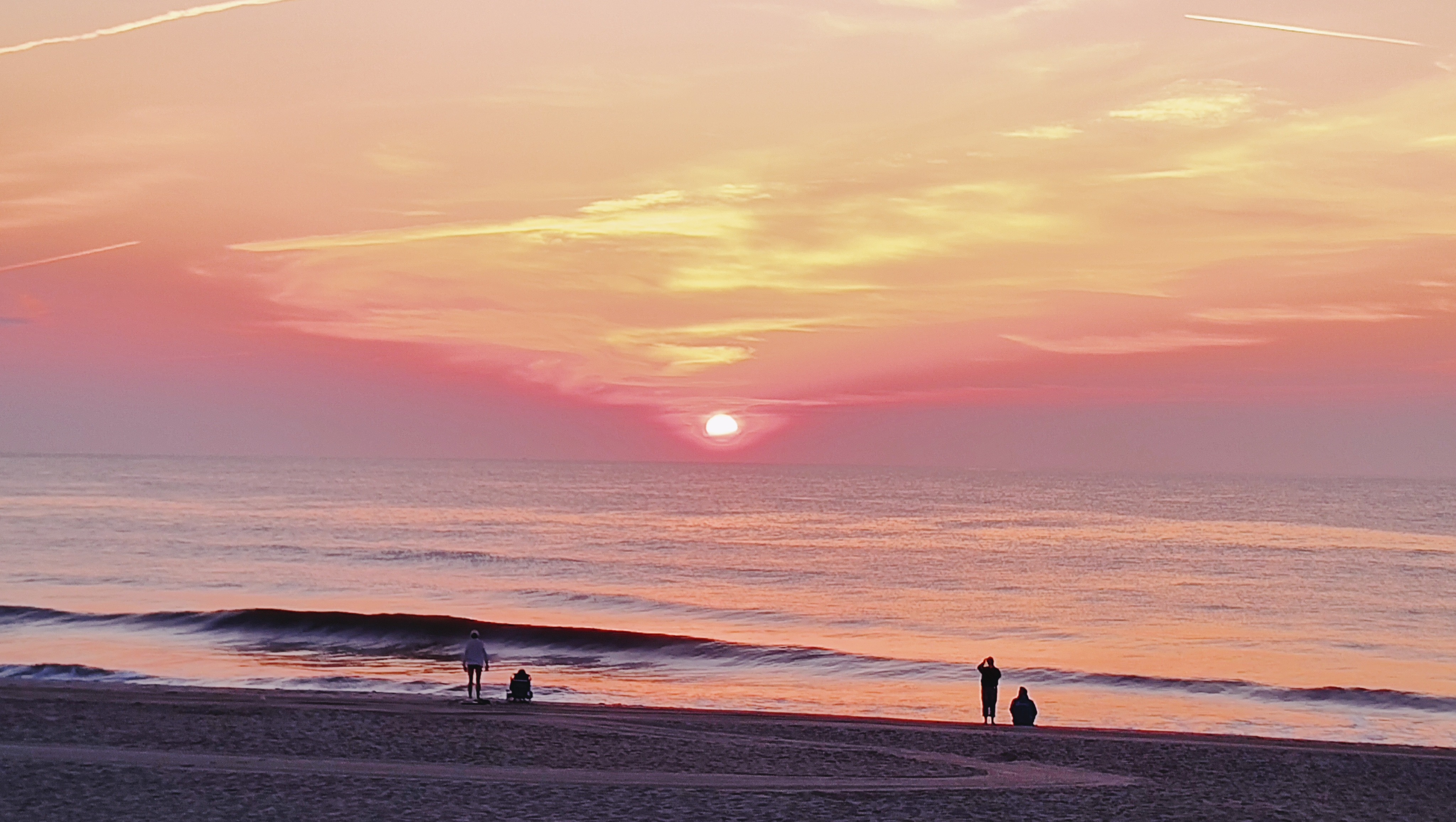 Fundraiser for Anthony Di Iorio by William Harriott : Di Iorio fund!