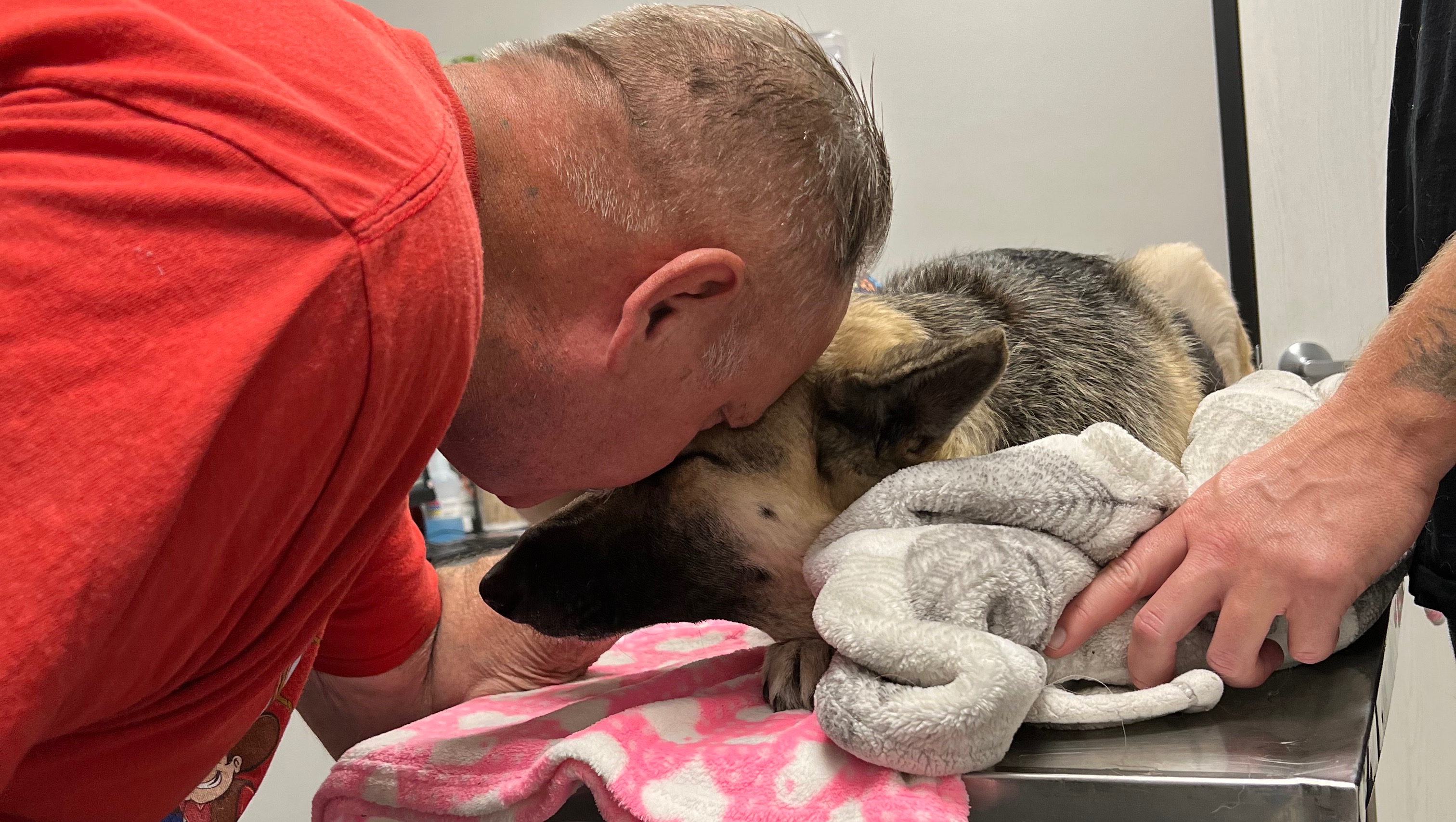 Financial Assistance for Maya’s Healing photo