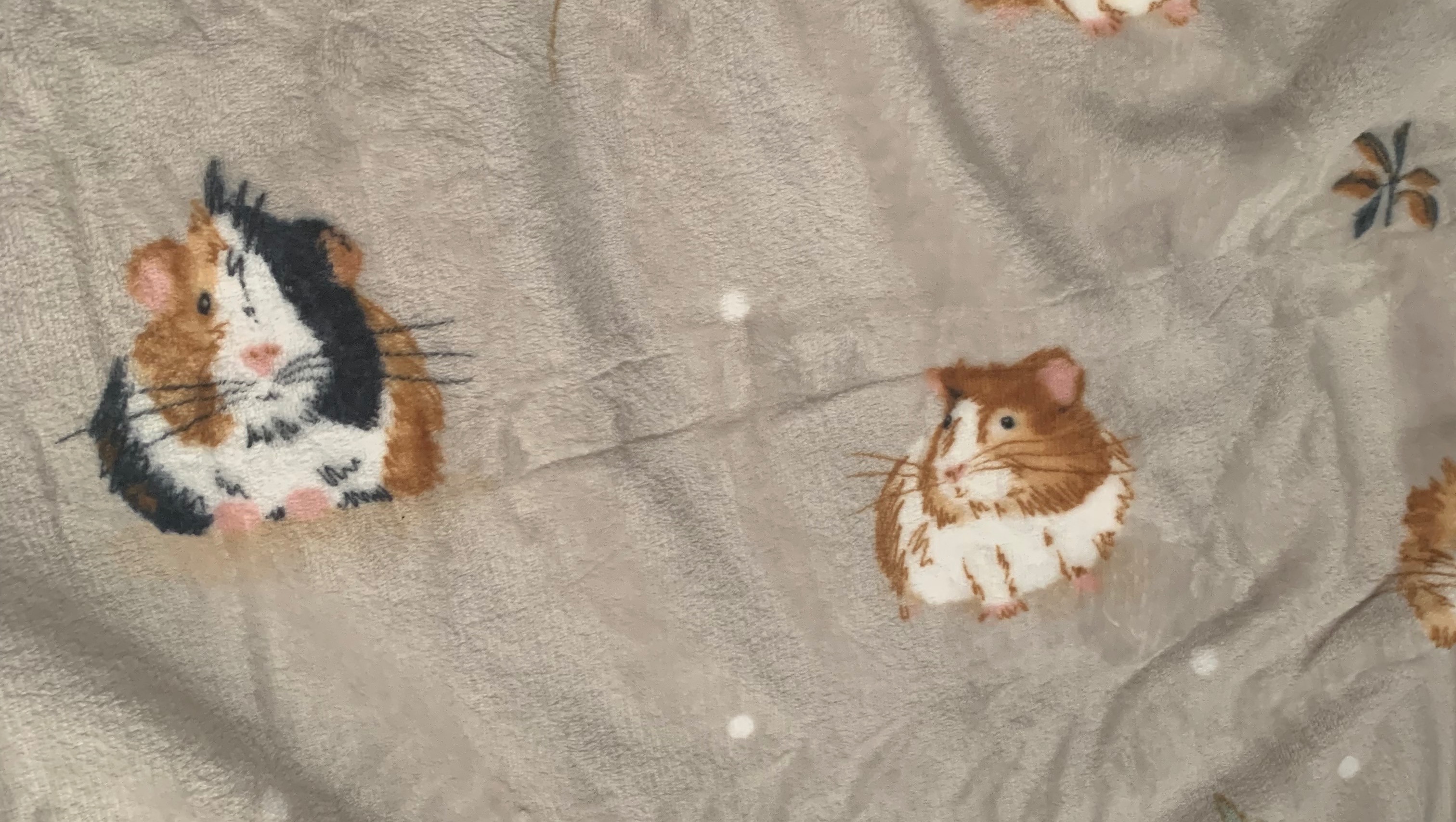 fundraiser-by-lizzie-wren-piggy-shed