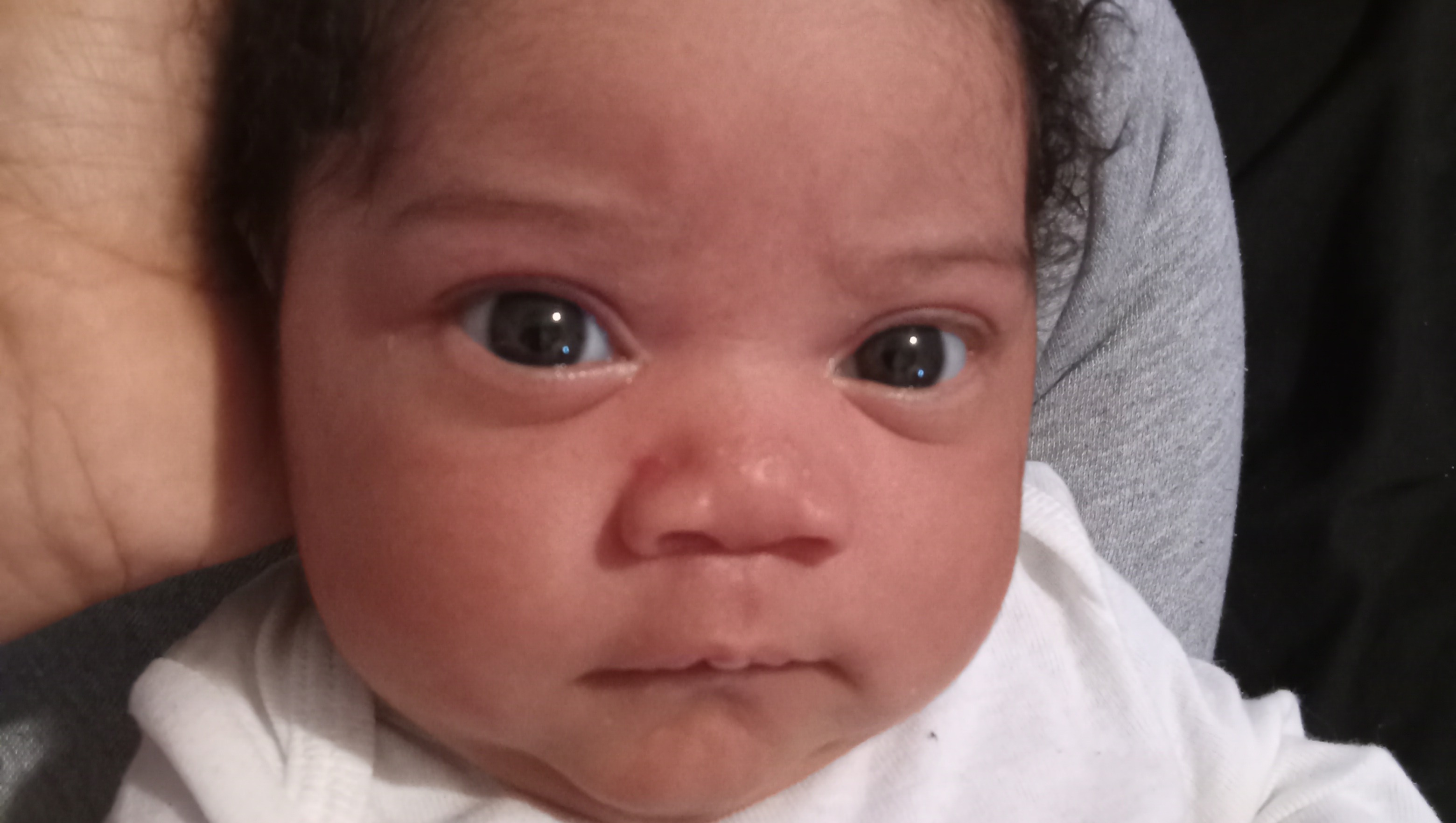 Www Gofundme Com Search - jhe9ixe