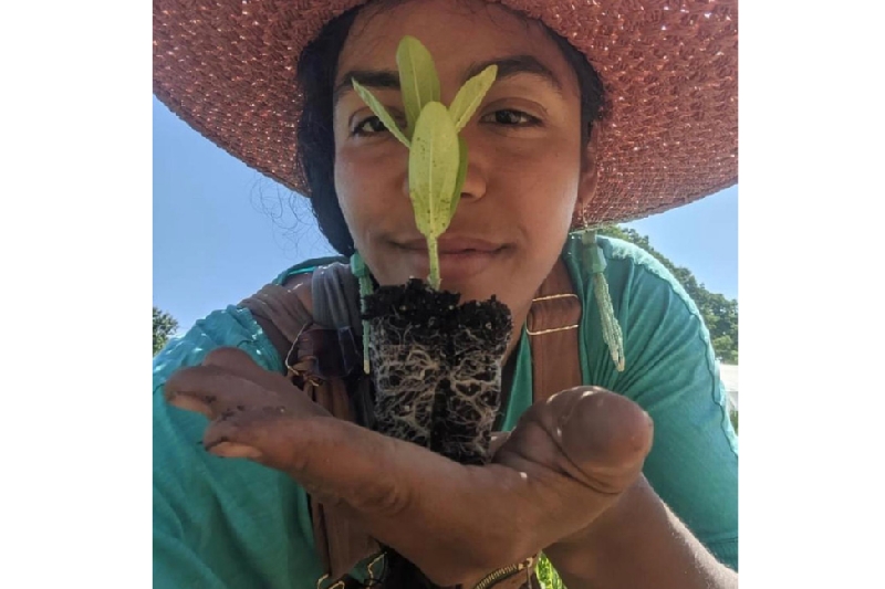Micro Landback Initiative for a indigenous farmer photo