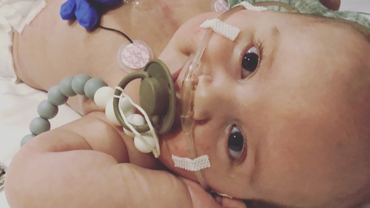 Support the Mancini's journey with HLHS diagnosis photo