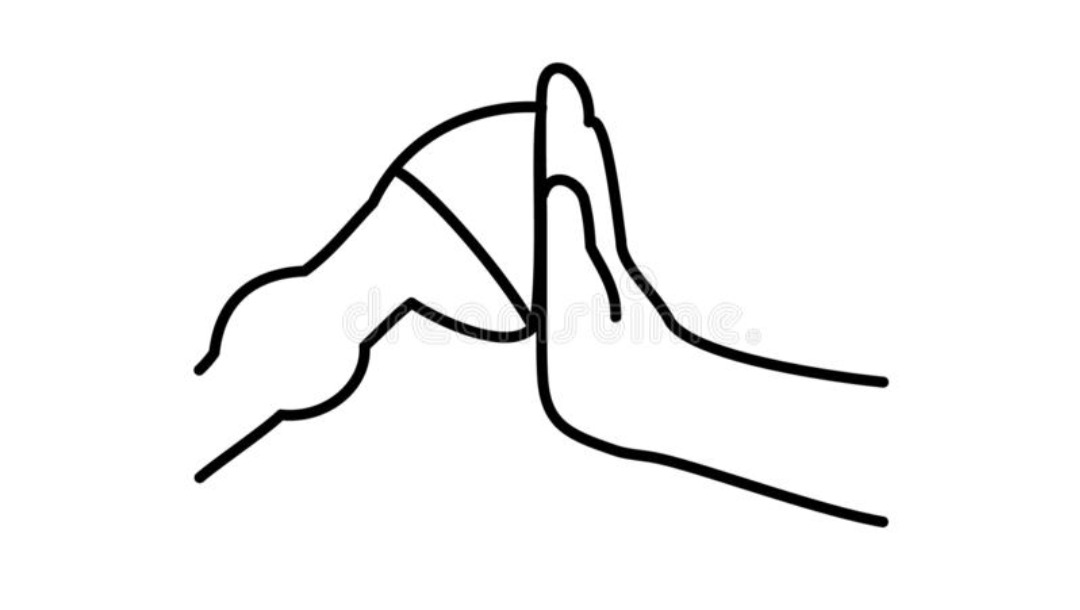 URGENT- Help Us Save Our School Horses! photo