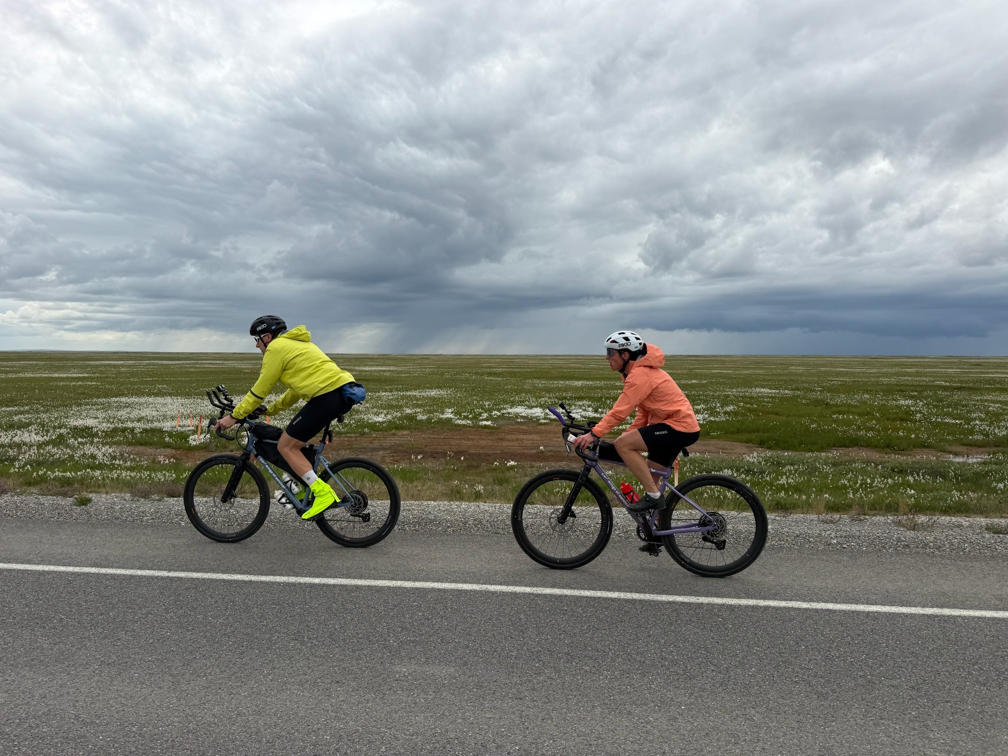 Wings of Survival: A World-First Race with Nature campaign photo, 4 of 8