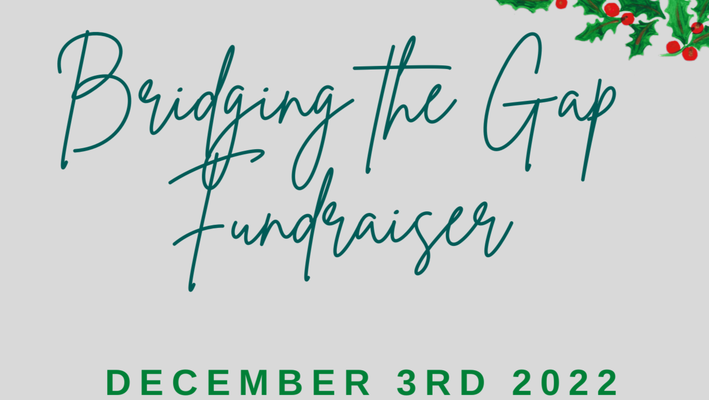 Fundraiser by Jadyn Hayes : Bridging the Gap Fundraiser
