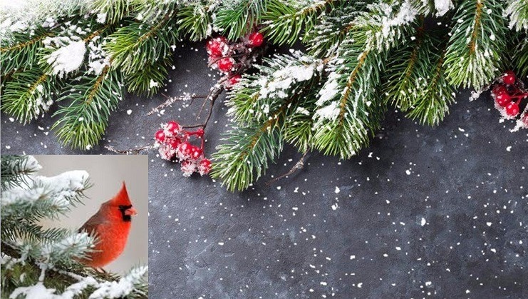 Giving Tree 2022 for Clayton & Perez Families photo