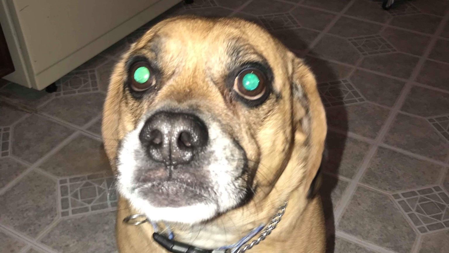 A possible cancerous lump needs to be removed. photo