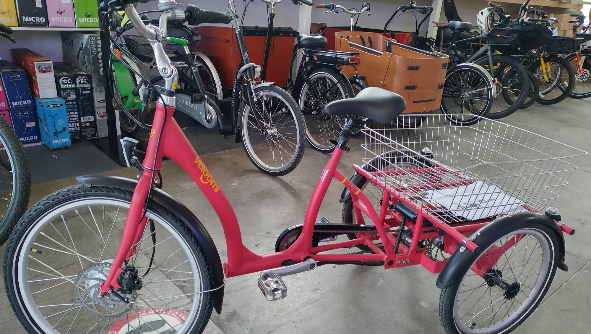 Target store adult tricycle