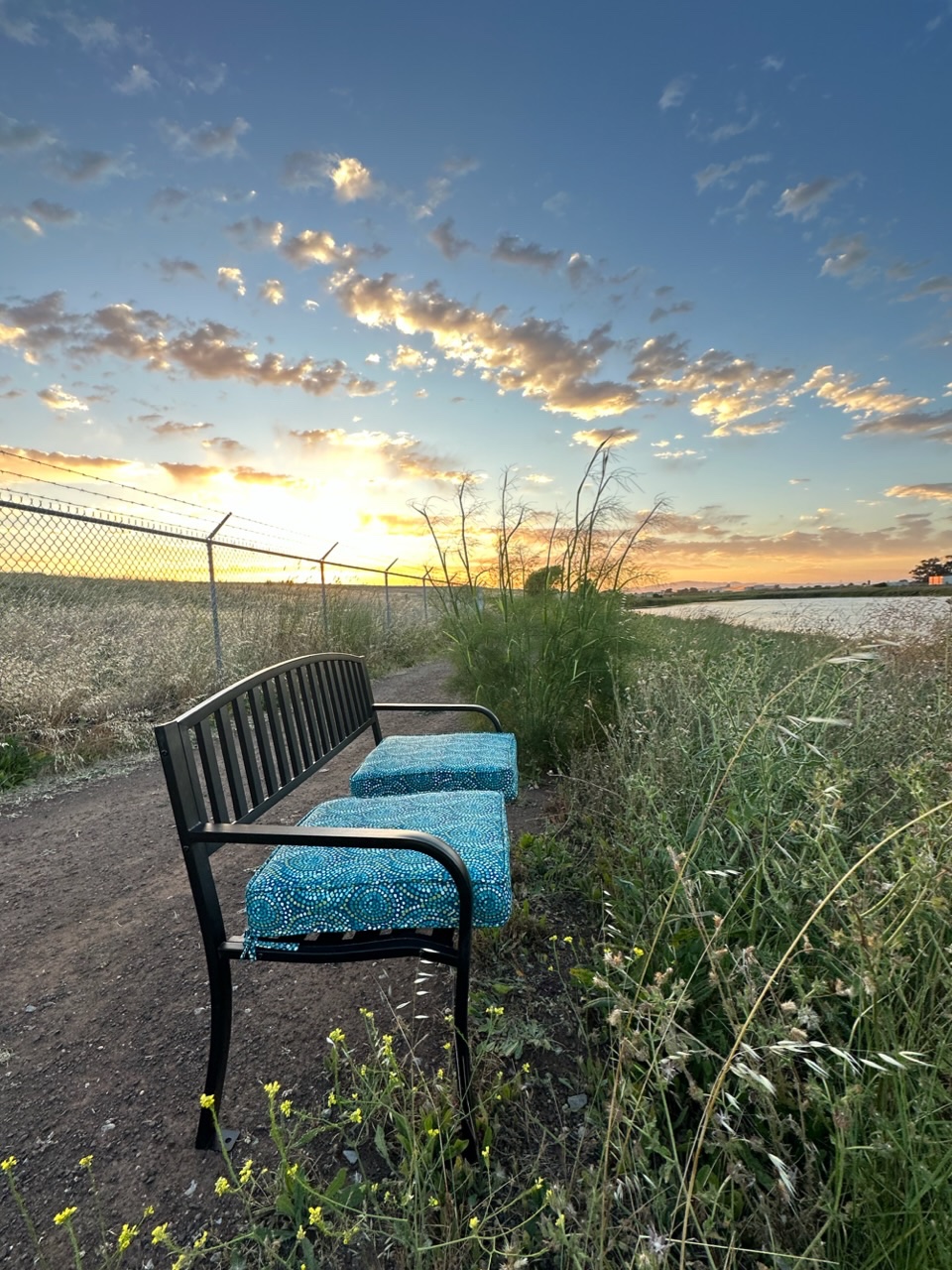 Help Mare Island Heritage Trust Match $500 Gift! campaign photo, 5 of 8