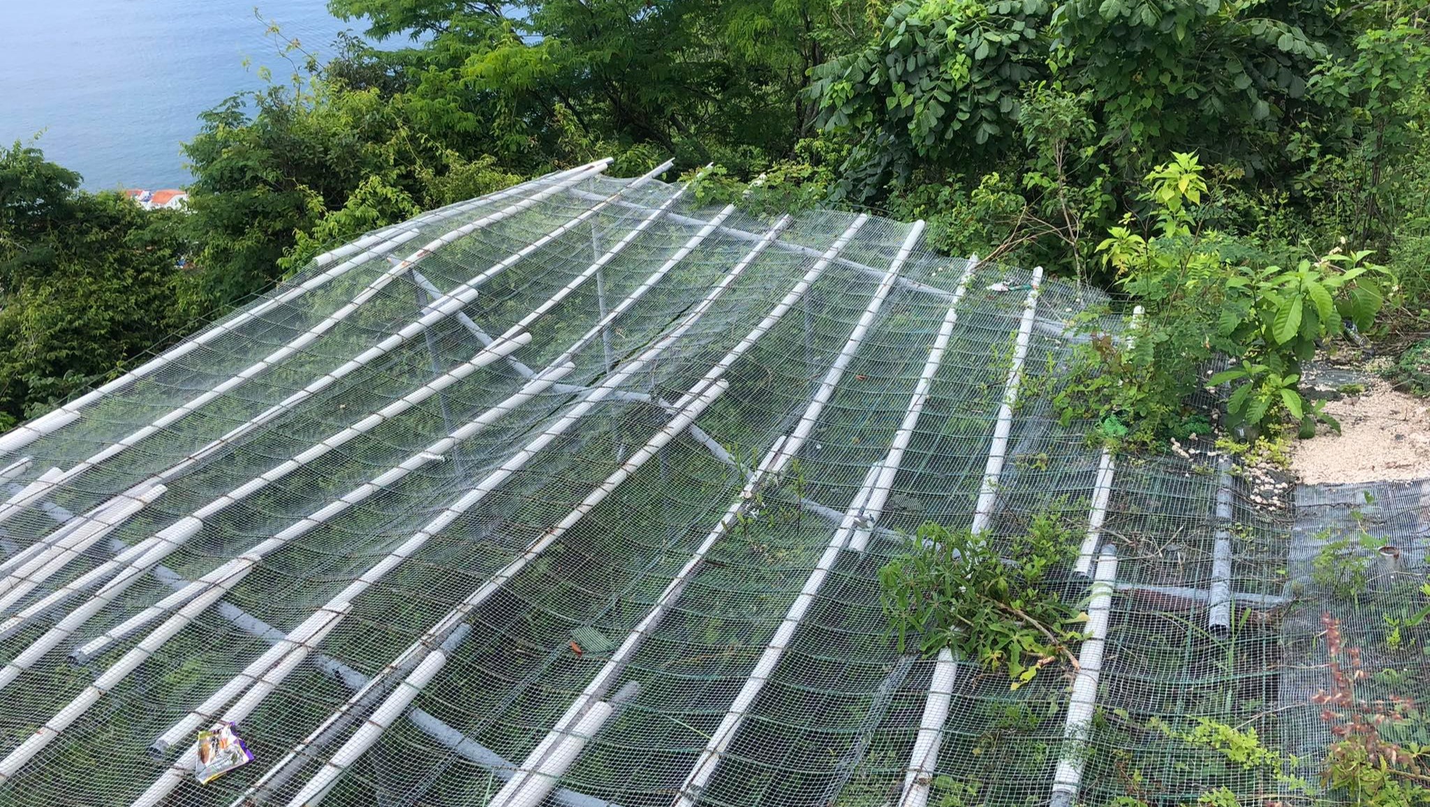 Fix the Puerto Vallarta (Conchas Chinas) Launch photo