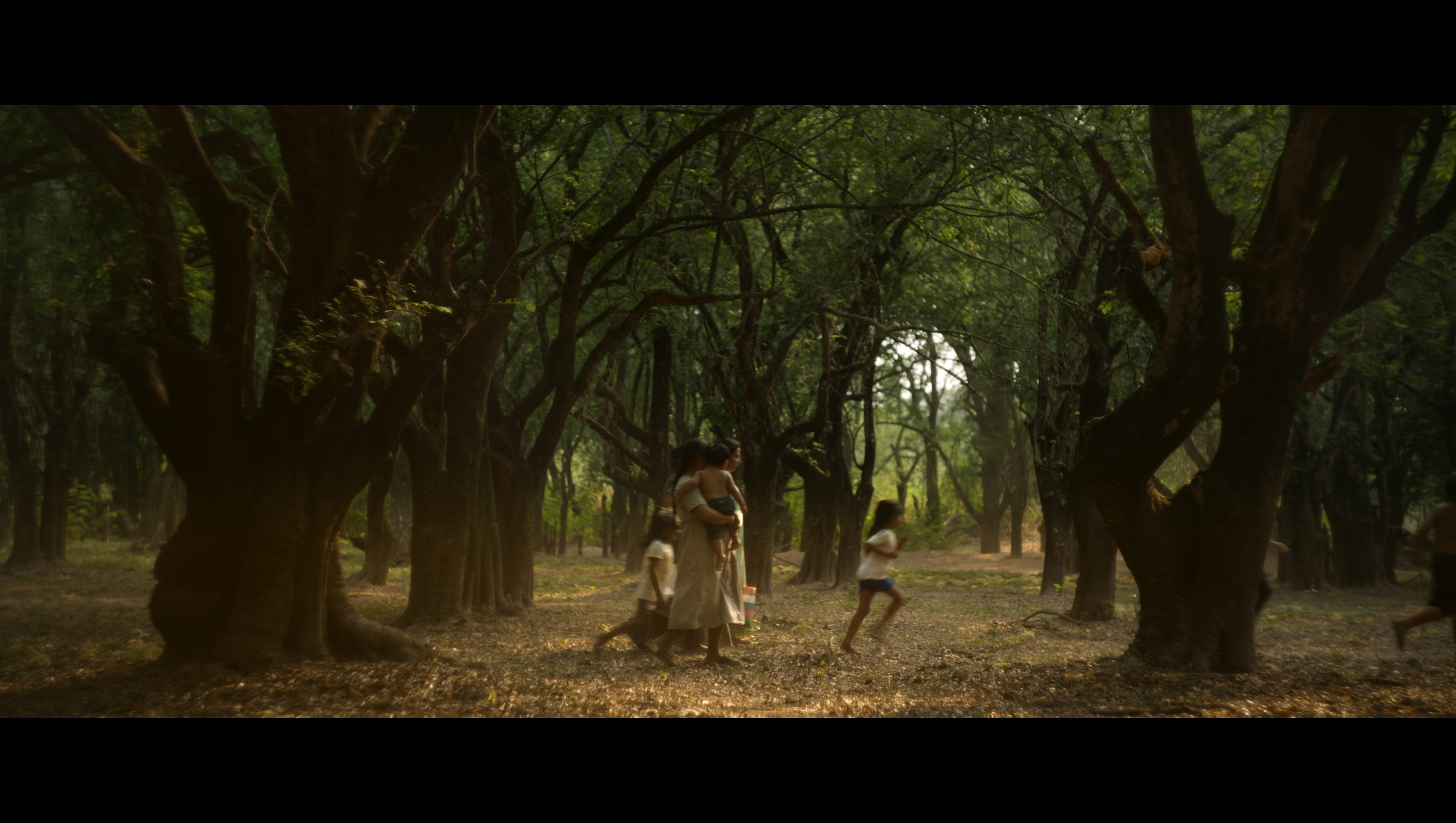 Producción documental sobre desaparición forzada photo