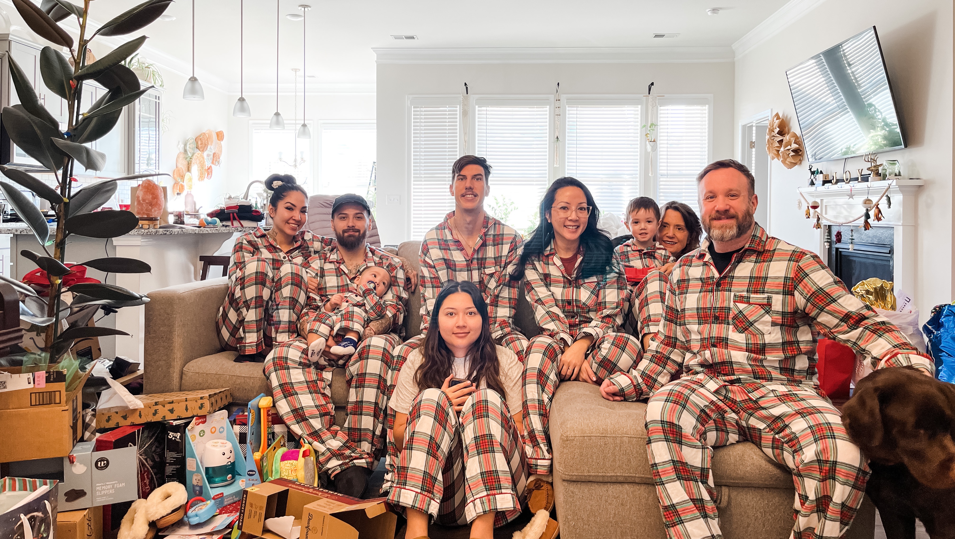 Silky’s Journey: A toothache turns into cancer photo