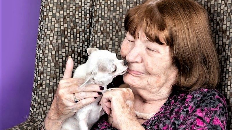 Save the TheraPaws Sanctuary! photo