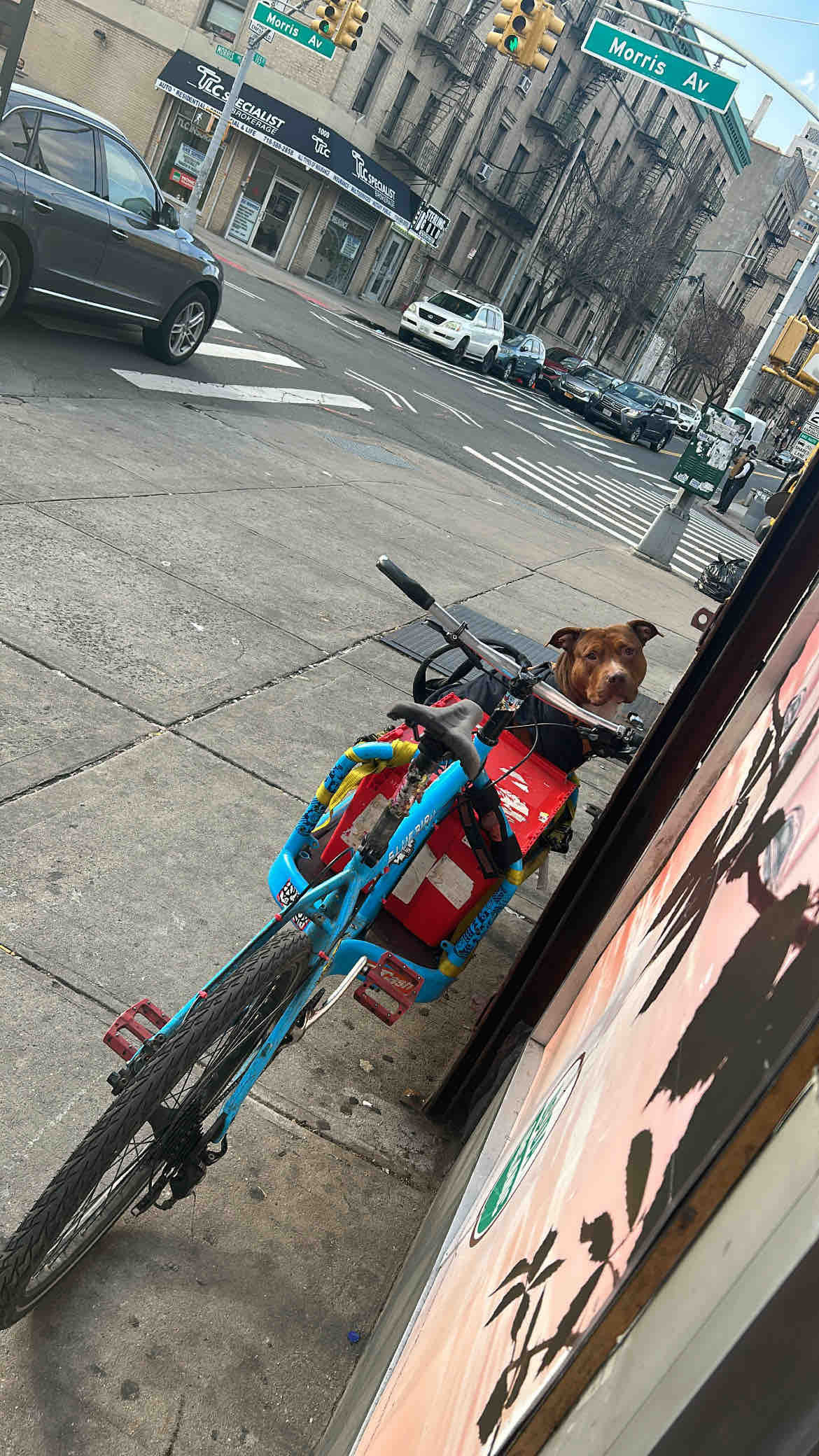 OUR CARGO BIKE WAS DESTROYED IN A HIT AND RUN! photo
