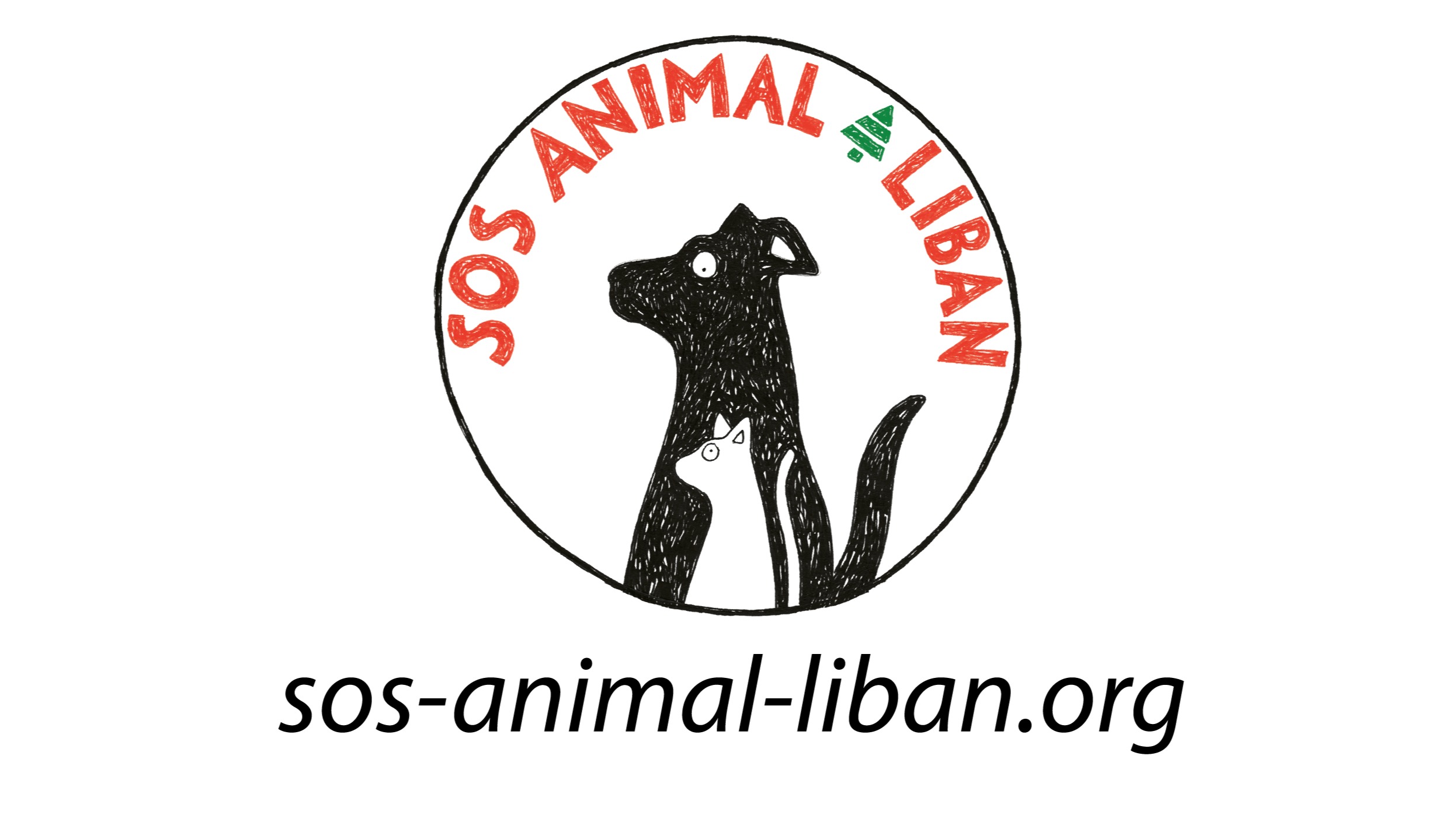 Soutenir notre refuge pour chiens et chats au Liban photo