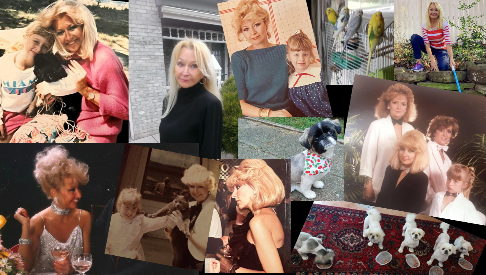 Catherine Rapp Fundraiser for Chyna Brackeen by Catherine Rapp : Devastating Brackeen ...