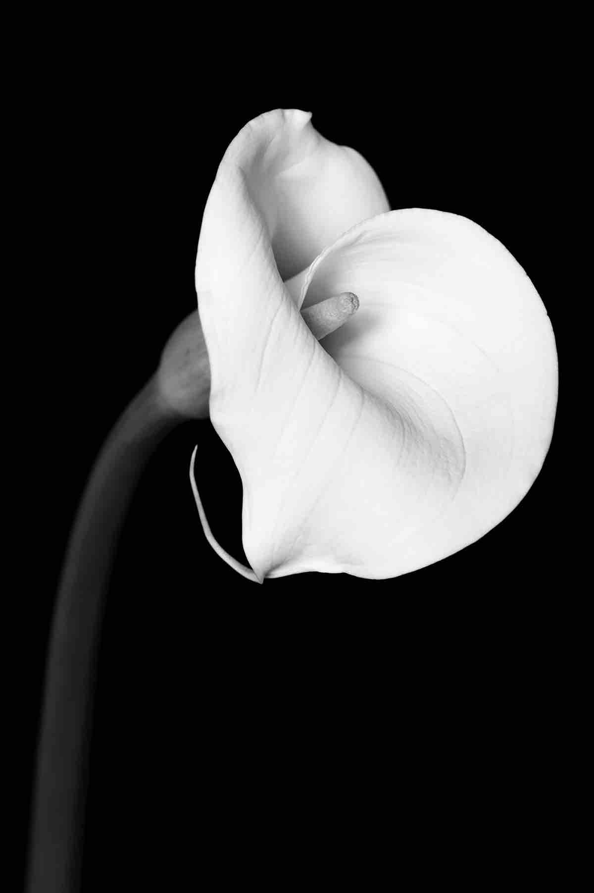 Fundraiser for Kevin Ricker by Camilla Kilbane : Help support April’s ...