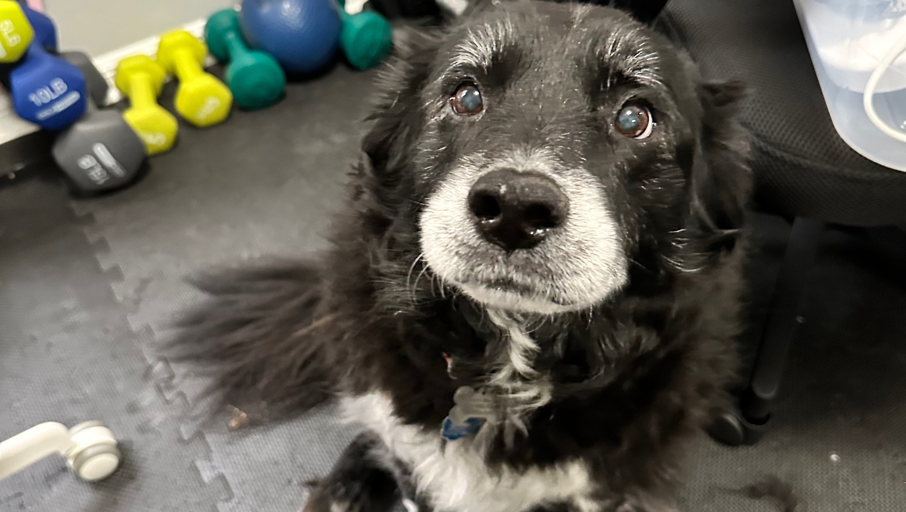 Charlie’s leg amputation photo