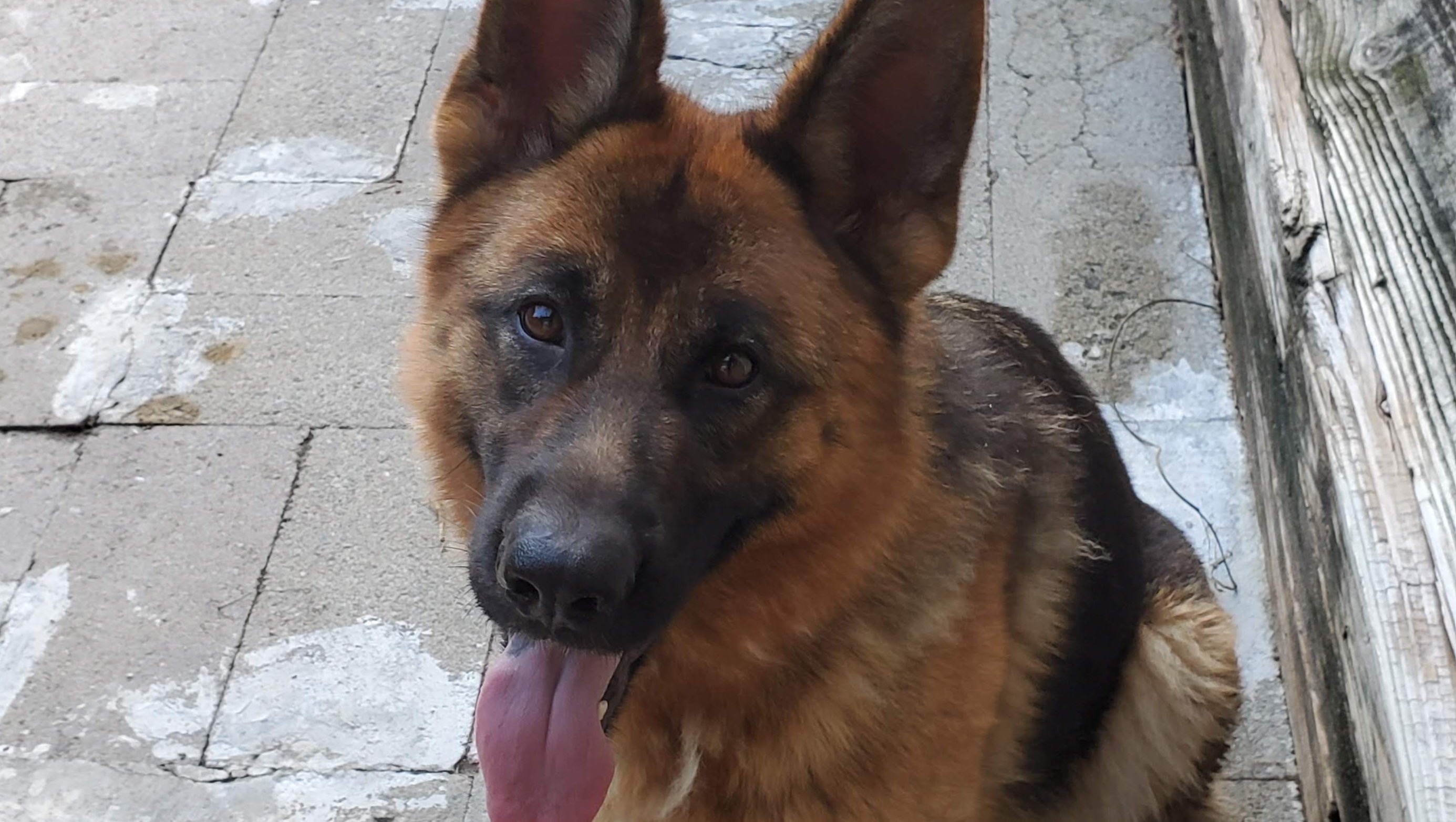 Una’s Medical Bills photo