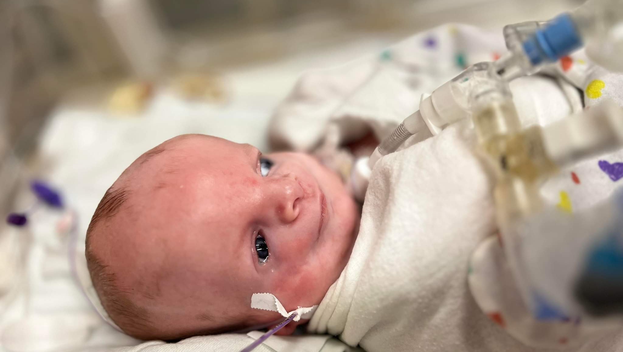 Fundraiser for Theodore Dipple and Family photo