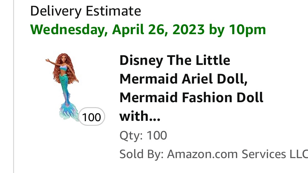 Live Action Ariel Dolls for the Underserved photo