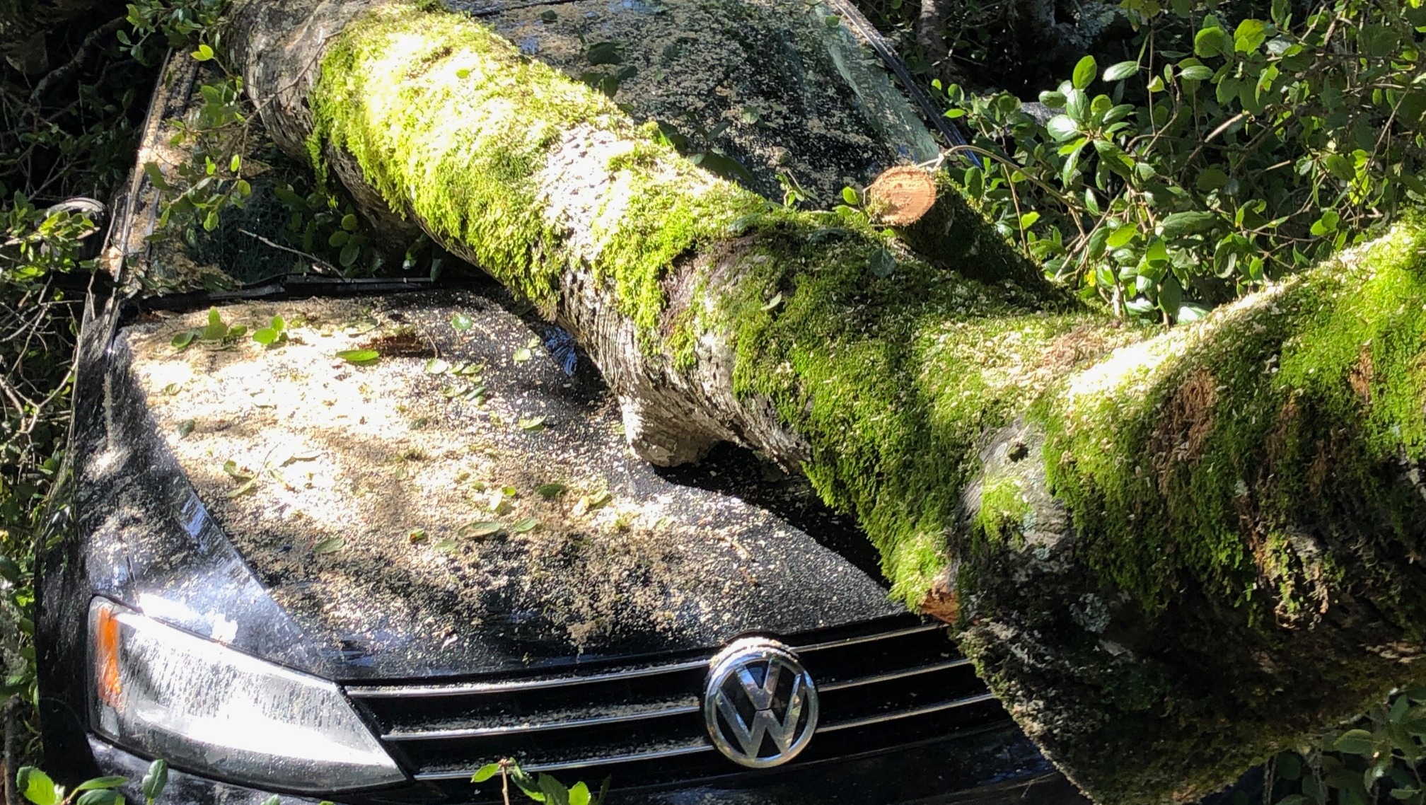 Shannan Hobbs needs new wheels! photo