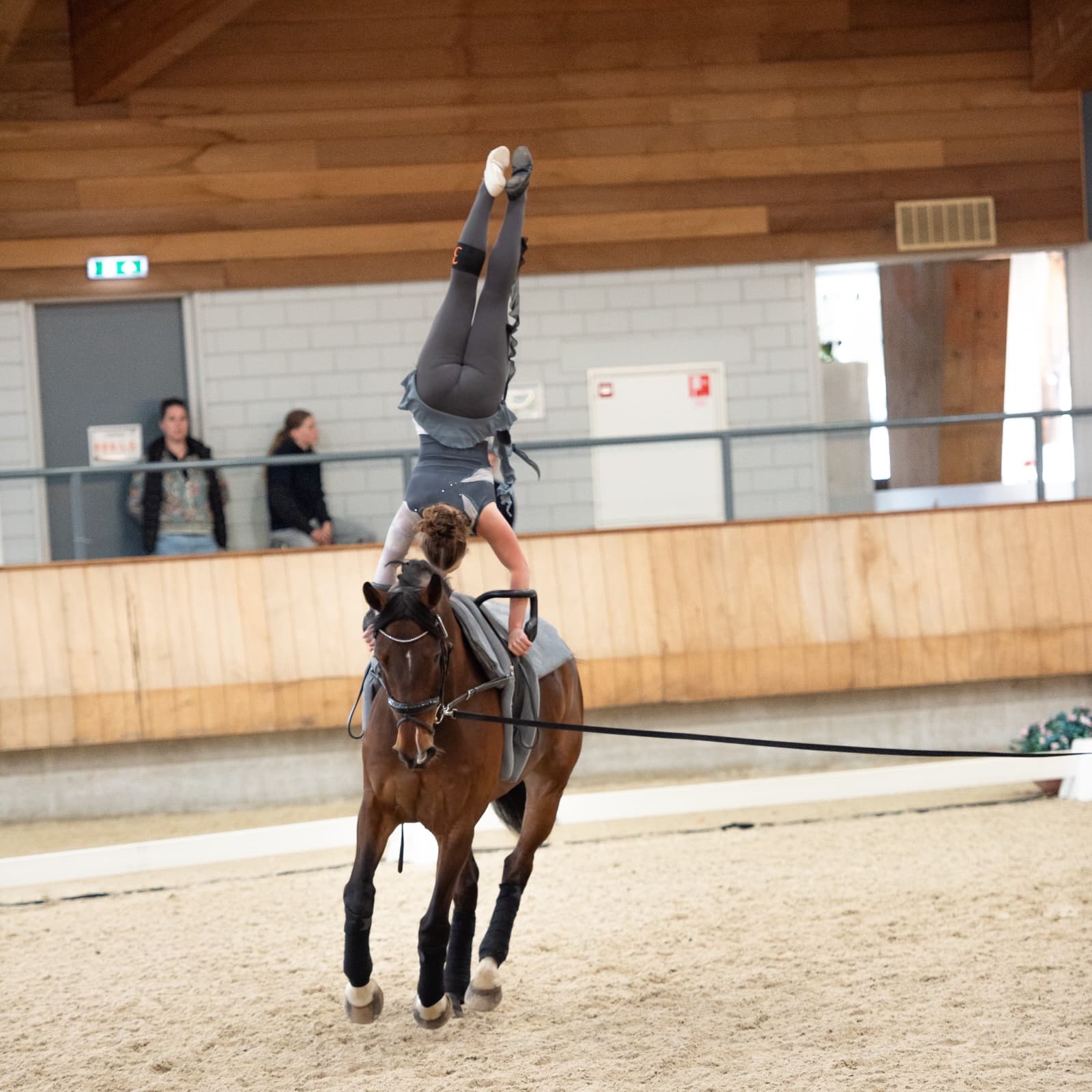 SAHARA IS GOING TO THE JUNIOR WORLD CHAMPIONSHIPS campaign photo, 2 of 7