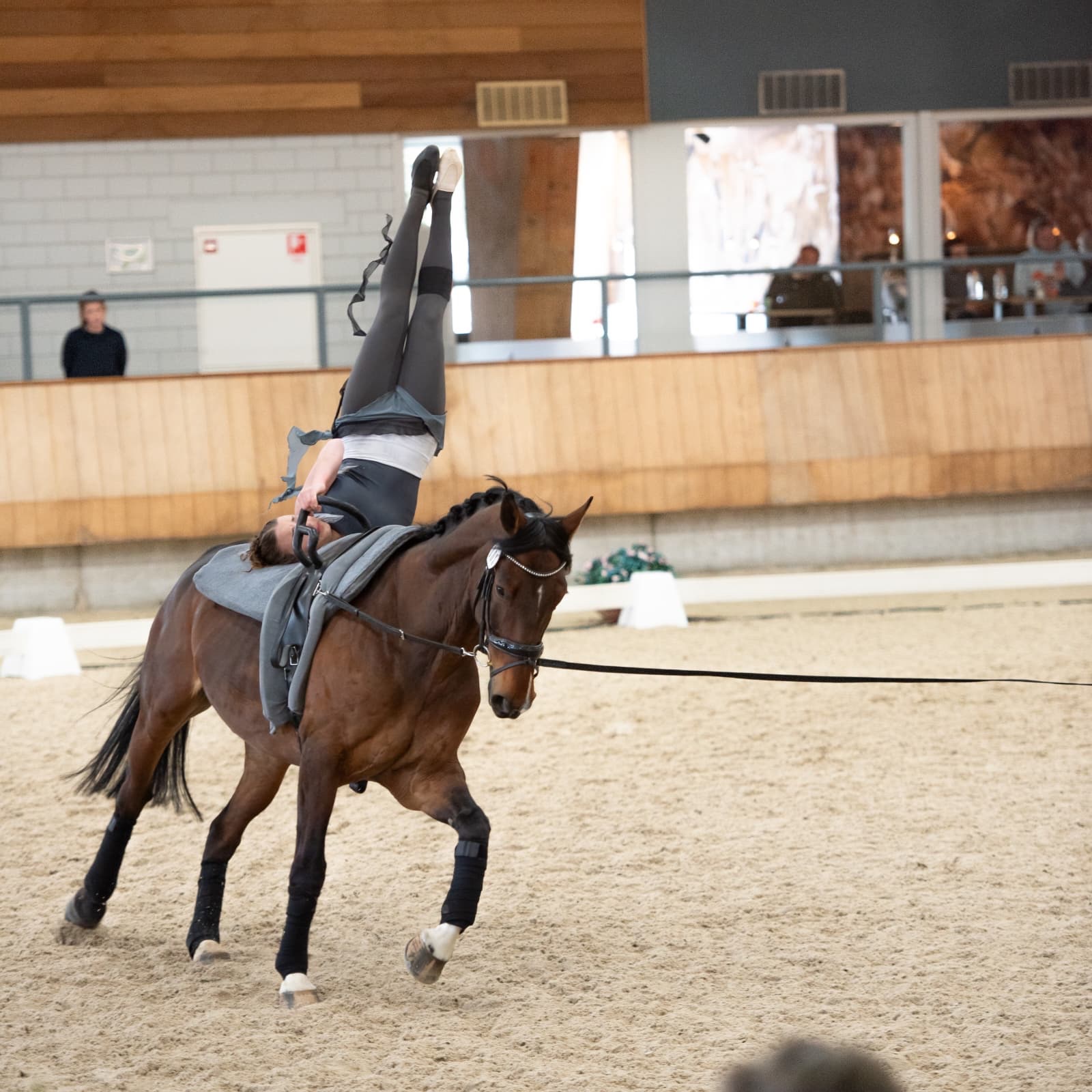 SAHARA IS GOING TO THE JUNIOR WORLD CHAMPIONSHIPS campaign photo, 4 of 7