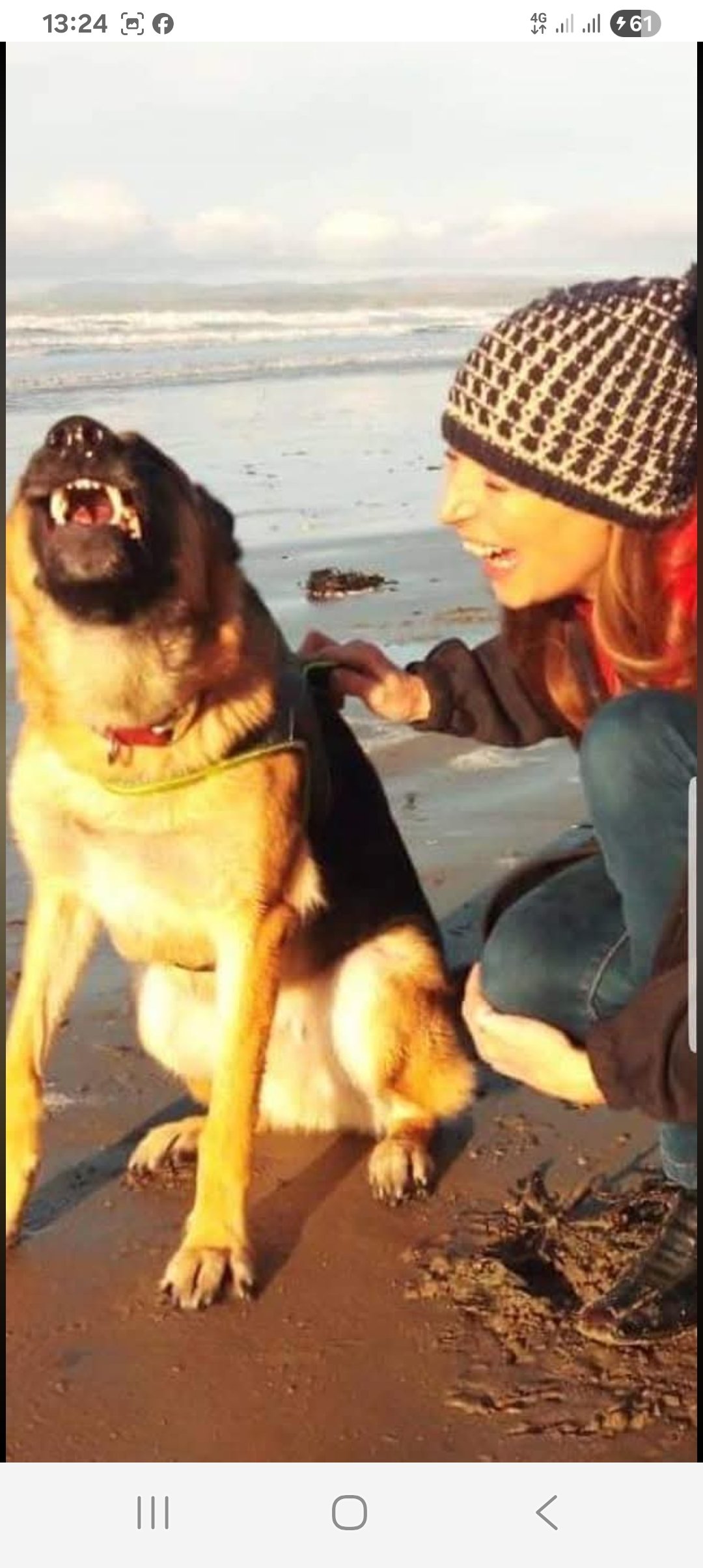 Fund the forever field for Rescued Animals campaign photo, 4 of 7