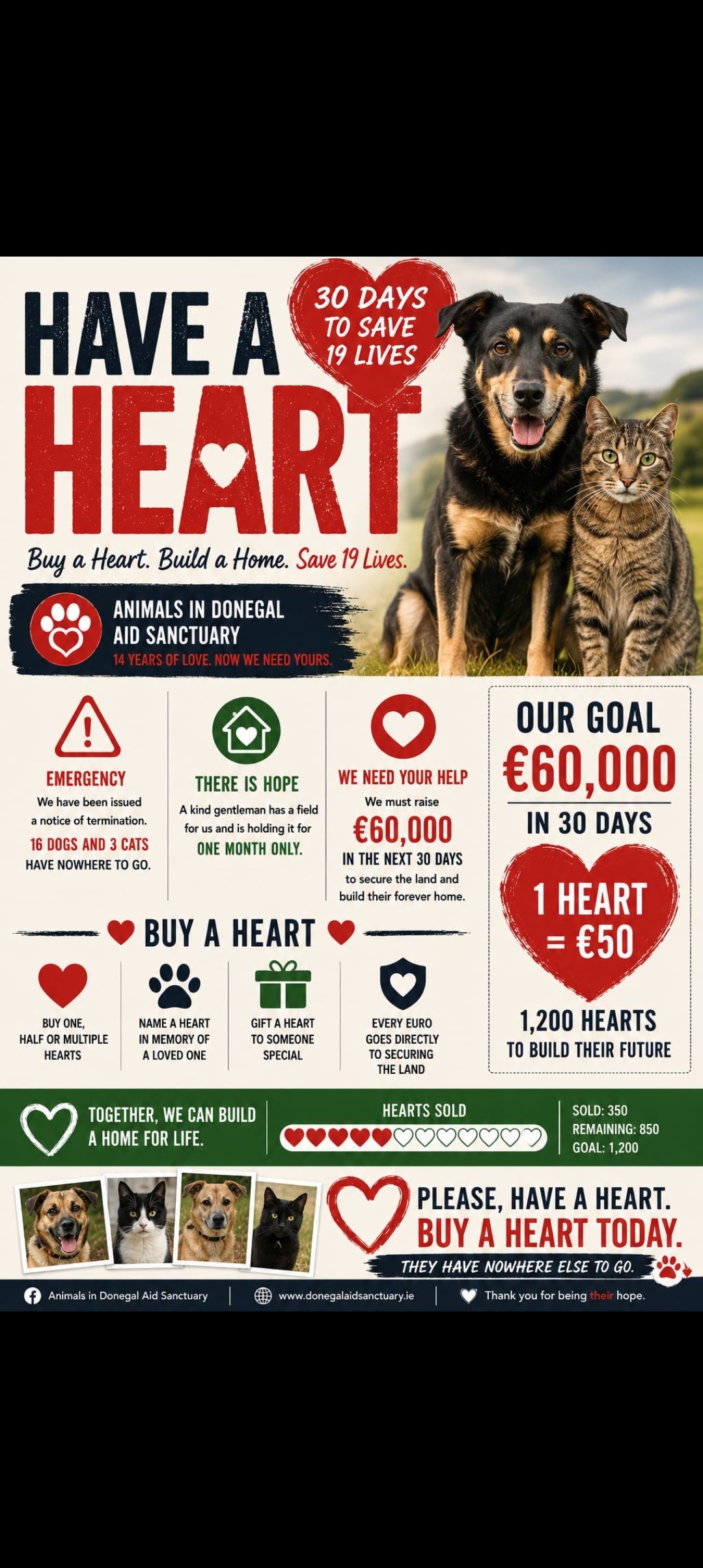 Fund the forever field for Rescued Animals campaign photo, 5 of 7