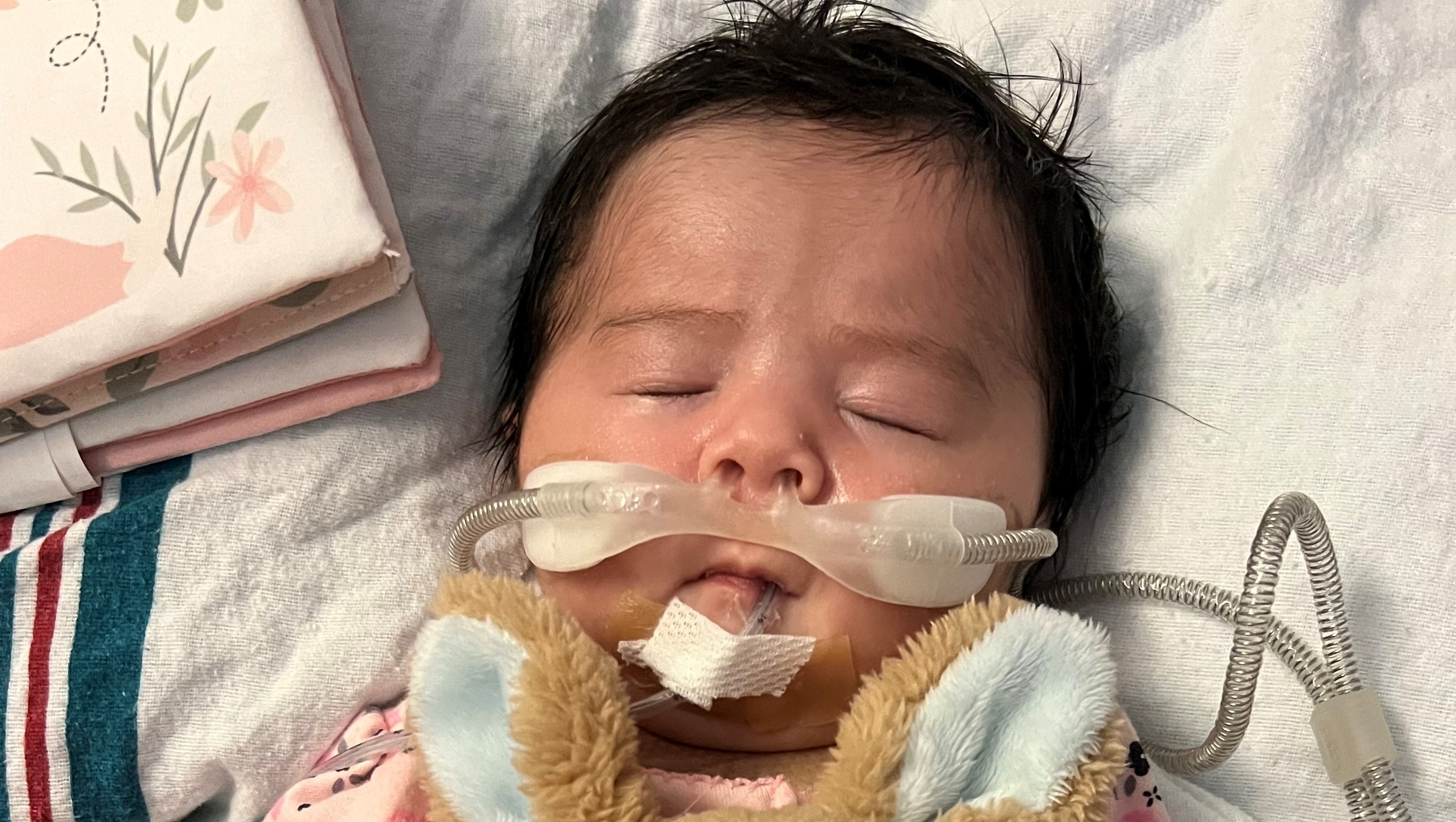 Fundraiser for Michael Demich by Diane Haney : Baby Riley
