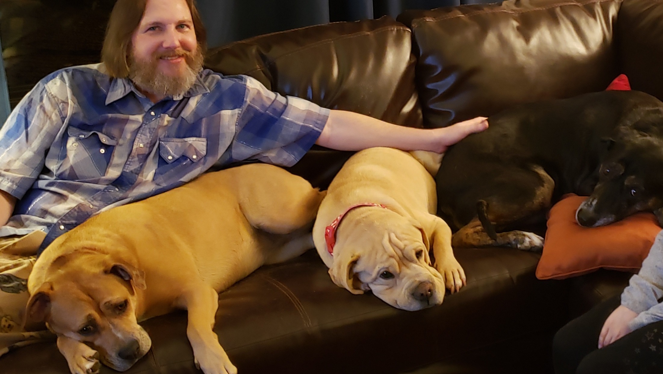 In Memory of Scott pinned link photo