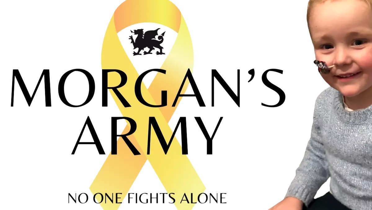 Fundraiser by David Lloyd Swansea : Morgan's Army