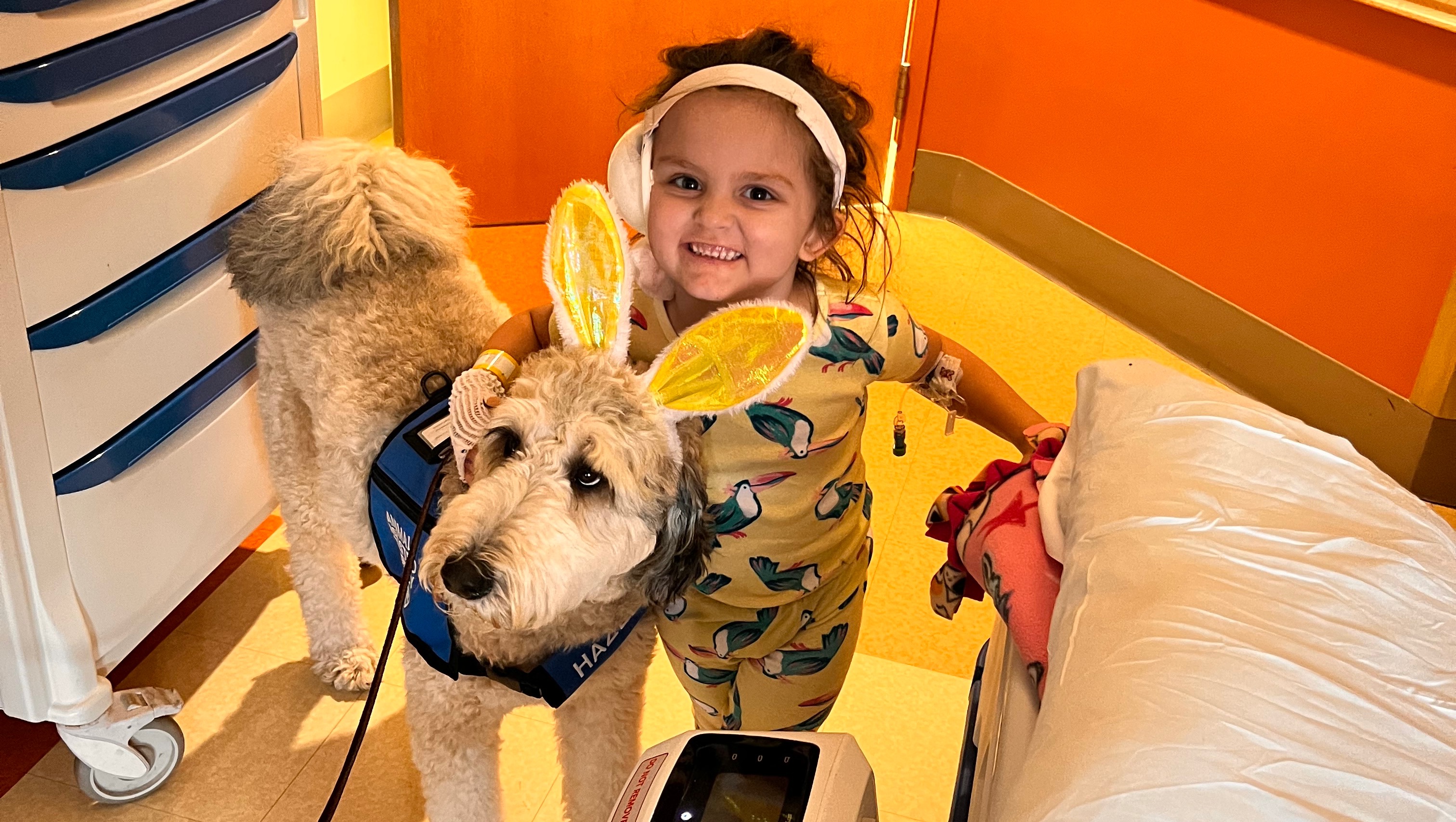 Kinsi Barney Medical Expenses photo