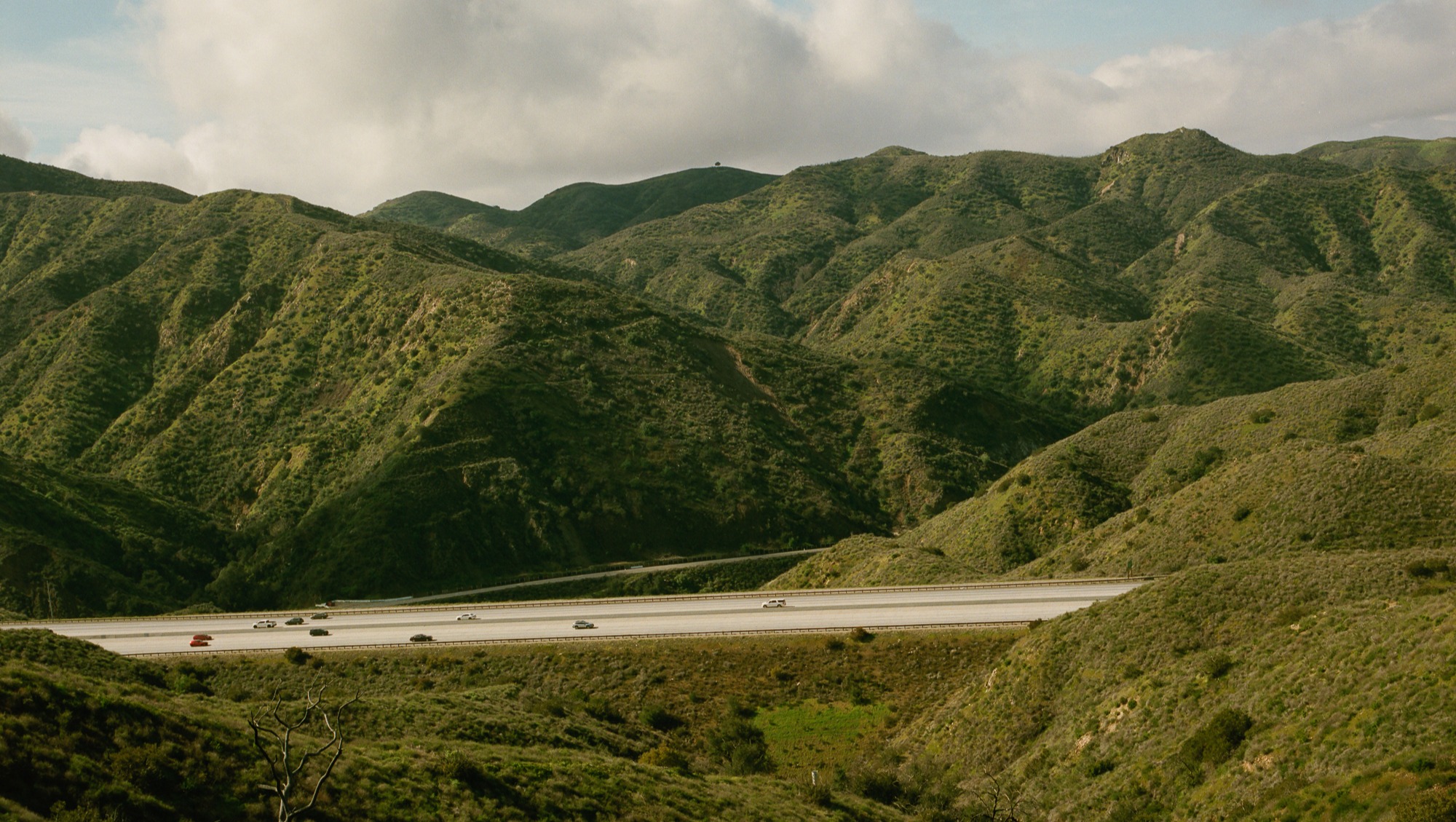 NO Canyon Hills: Save the Verdugo Mountains photo