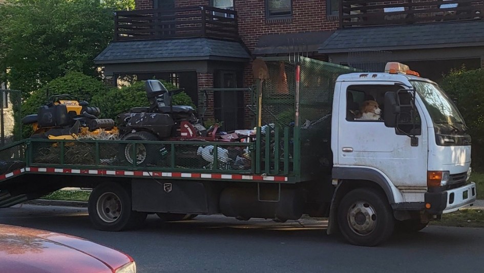 Thieves crippled a small business, Let’s Help! photo