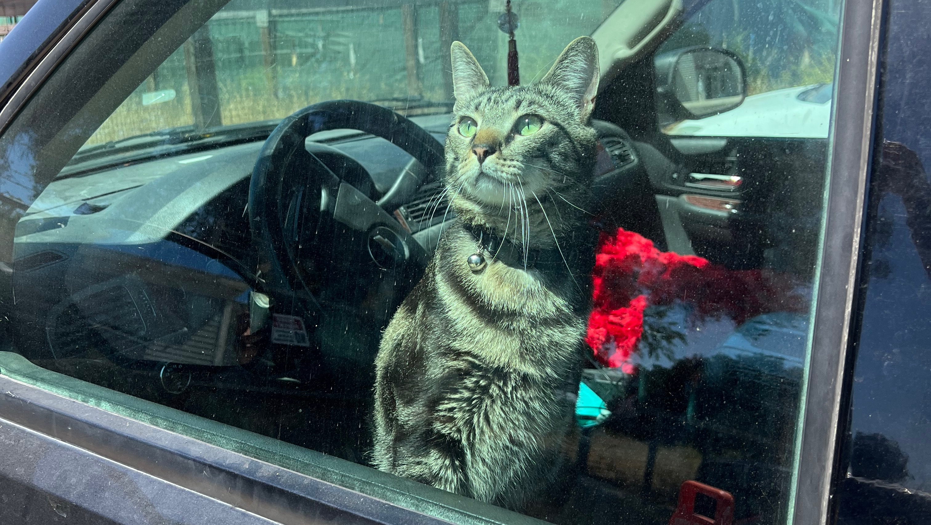 Help Amber (MOQ) get back on the road!!! photo