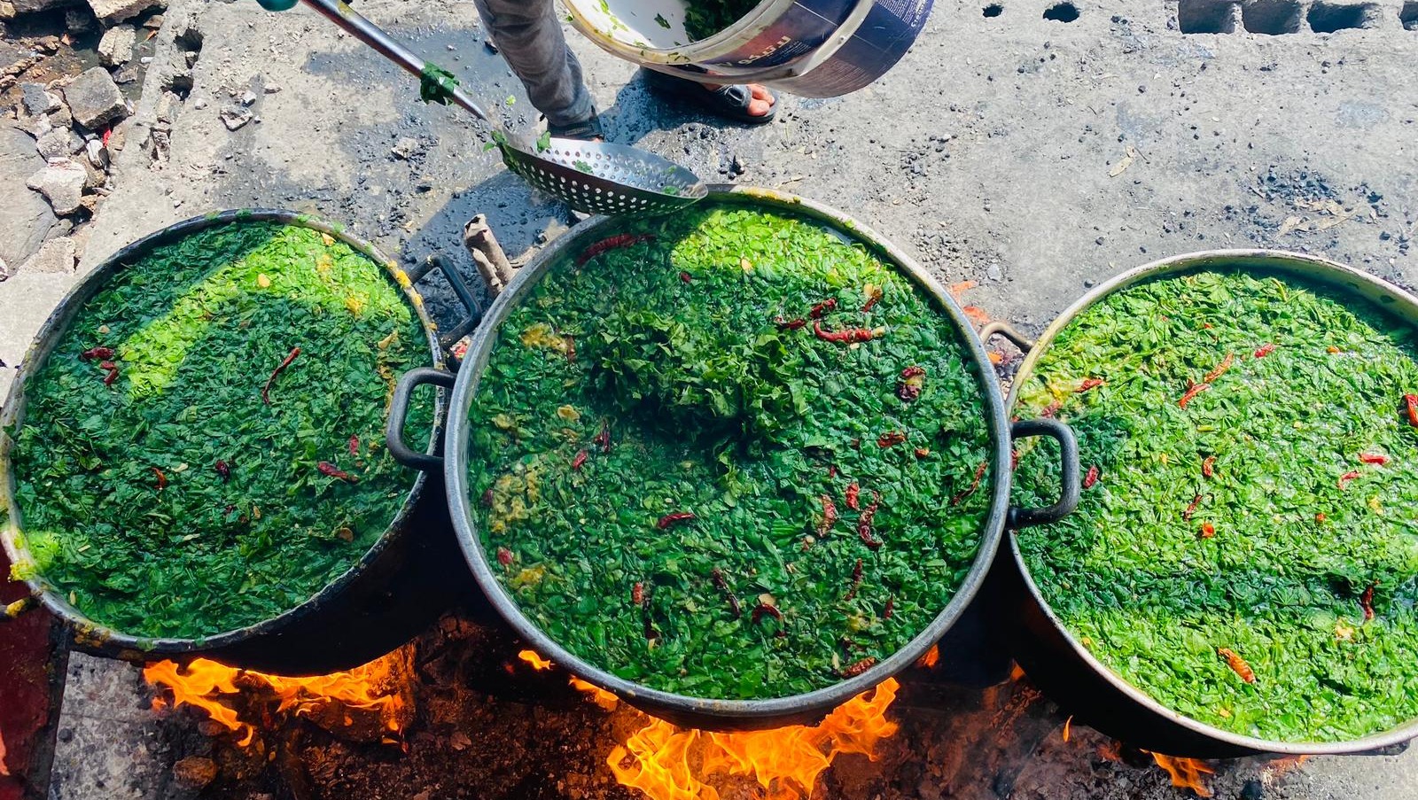 Hot meals 4 Starved Palestinian Kids in north Gaza photo