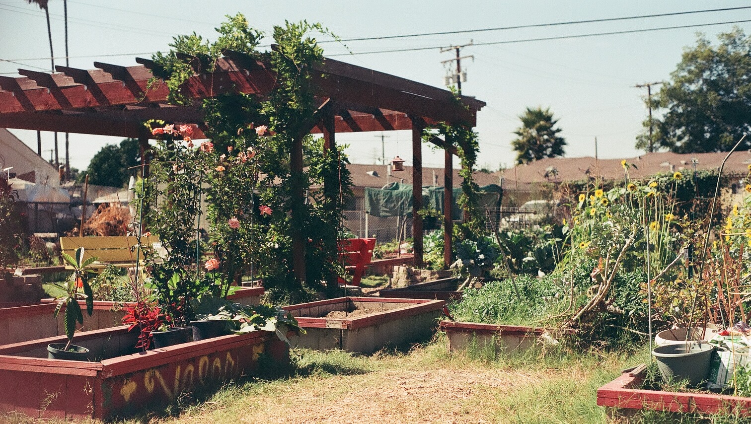 Save Compton Community Garden! photo