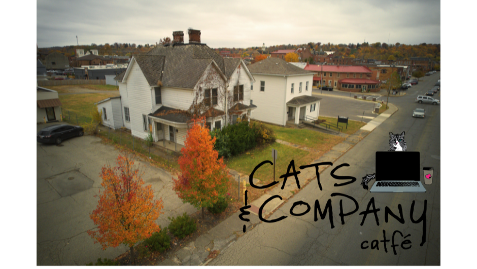 Fundraiser by Bethany Snowden URGENT! Help Cats & Company Payoff Our