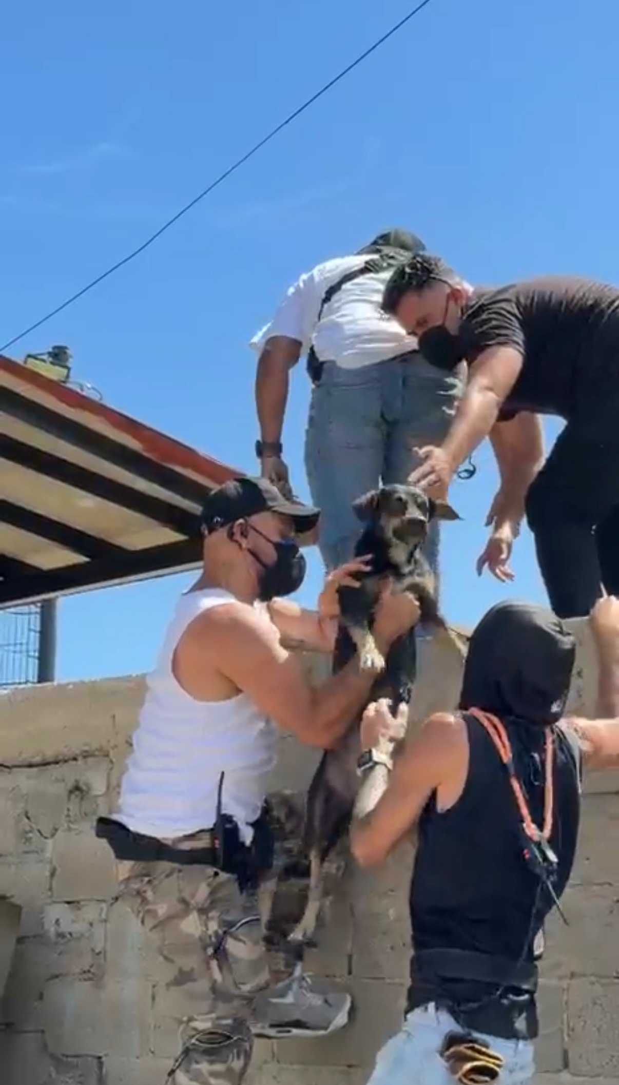 Street Dogs - Earthquake Emergency campaign photo, 5 of 6